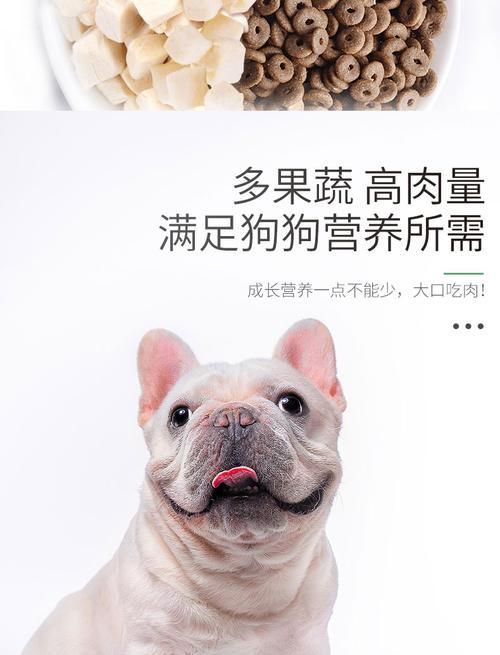离乳期宠物狗的饮食安排（探究离乳期宠物狗的饮食需求及最佳营养搭配）