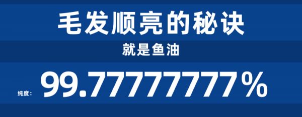 英力素EDDLESU宠物营养品｜科学守护，领航宠物营养新时代