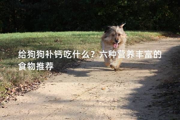 给狗狗补钙吃什么？六种营养丰富的食物推荐