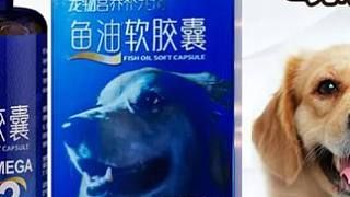 [深海鱼油]软胶囊猫咪狗狗通用宠物鱼油营养补充剂犬猫保健品 #宠物鱼油 #宠物鱼油推荐 #鱼油