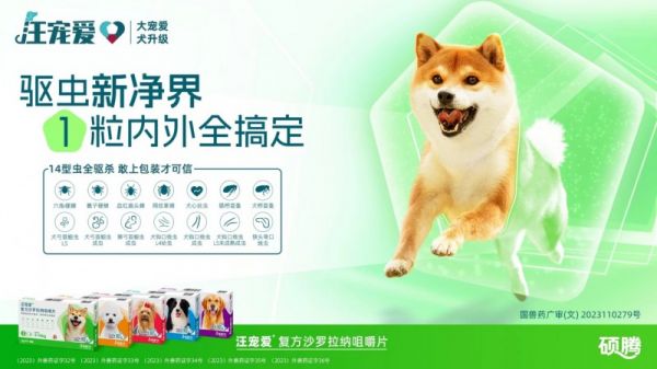 汪宠爱教你如何远离春季寄生虫