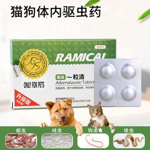 “宠物除虫攻略：狗狗体外虫子怎么办？快速解决小烦恼！”