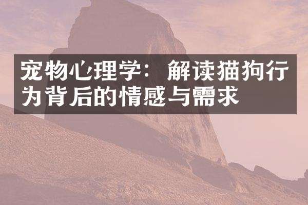 宠物心理学：解读猫狗行为背后的情感与需求