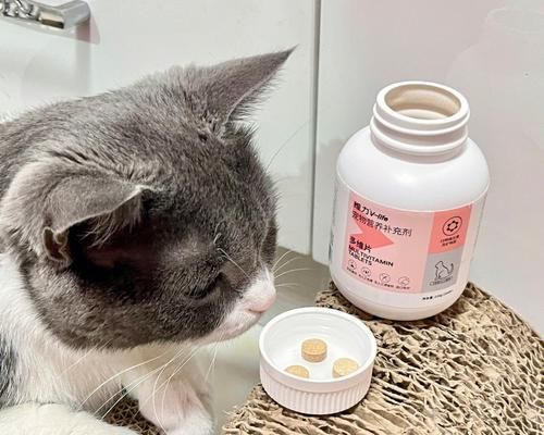 如何给你的宠物猫咪补充维生素（从日常饮食到药品）