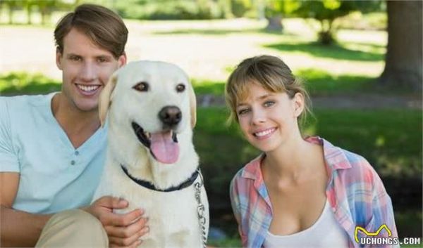 犬以食为天，狗狗大补的7种食物