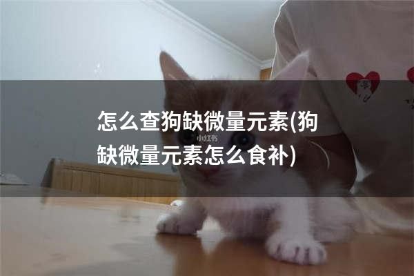 怎么查狗缺微量元素(狗缺微量元素怎么食补)