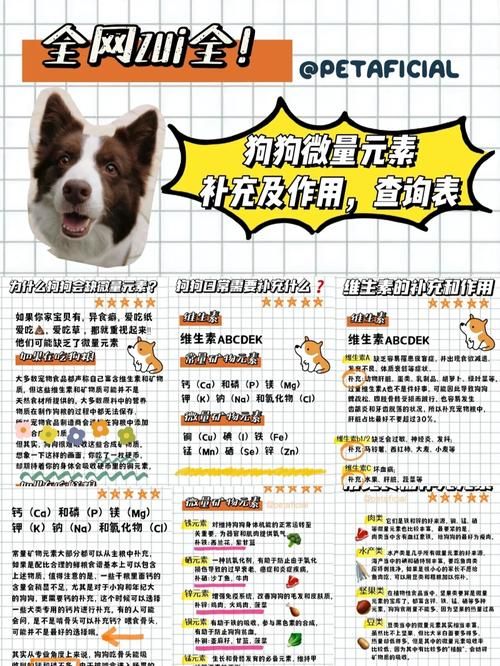 狗狗如何补充微量元素