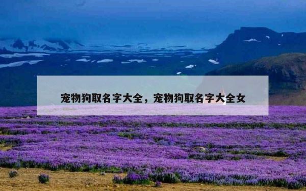 宠物狗取名字大全，宠物狗取名字大全女