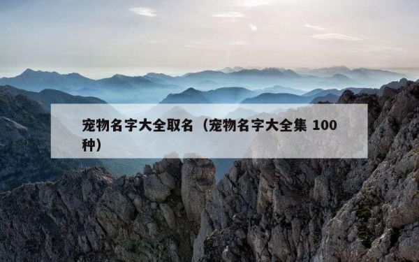 宠物名字大全取名（宠物名字大全集 100种）