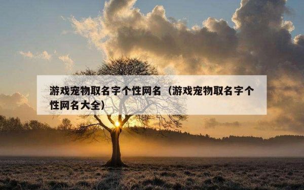 游戏宠物取名字个性网名（游戏宠物取名字个性网名大全）