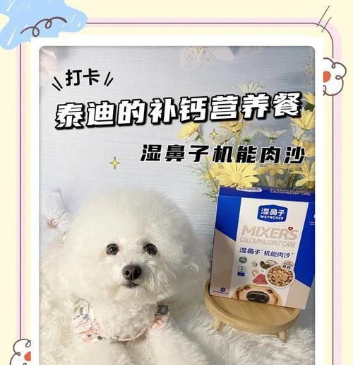 泰迪犬拒食狗粮偏好零食怎么办？如何调整饮食习惯？