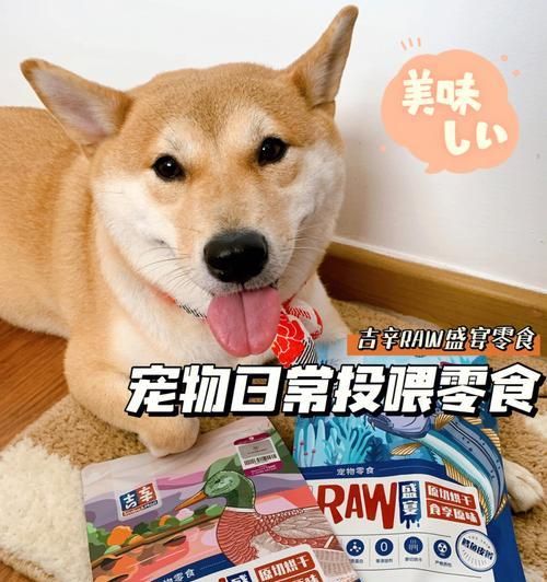 宠物狗的健康零食（15种可口可乐的狗狗小零食）
