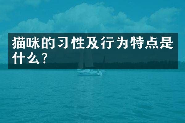 猫咪的习性及行为特点是什么？