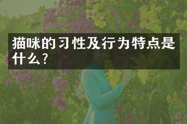 猫咪的习性及行为特点是什么？