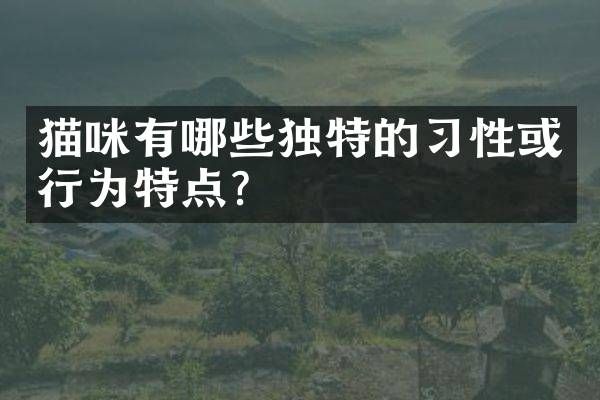 猫咪有哪些独特的习性或行为特点？