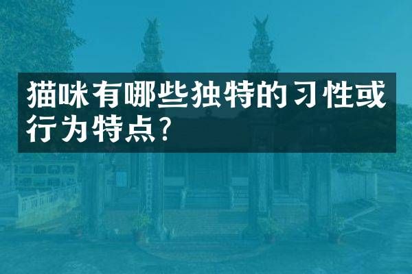 猫咪有哪些独特的习性或行为特点？