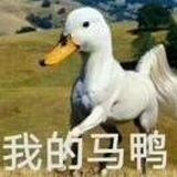 嘎嘎嘎嘎