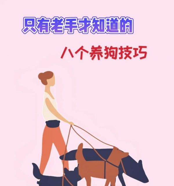 训练狗狗的8个技巧（有效训练你的狗狗并建立良好的行为习惯）