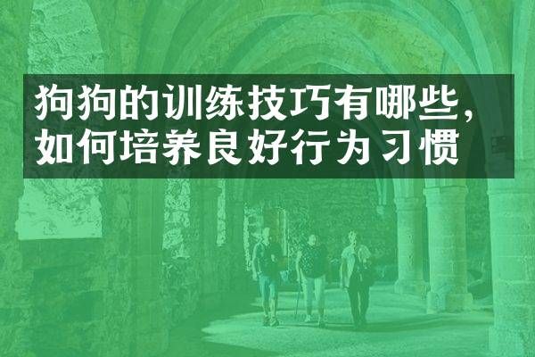 狗狗的训练技巧有哪些，如何培养良好行为习惯？