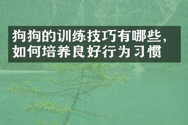 狗狗的训练技巧有哪些，如何培养良好行为习惯？