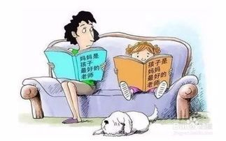 纠正宠物不良行为,培养良好习惯。