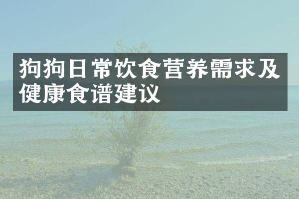 狗狗日常饮食营养需求及健康食谱建议