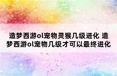 造梦西游ol宠物灵猴几级进化 造梦西游ol宠物几级才可以最终进化