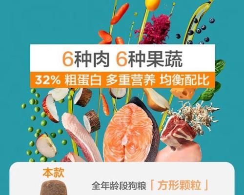 比熊狗粮搭配哪种辅食最佳？如何平衡营养？