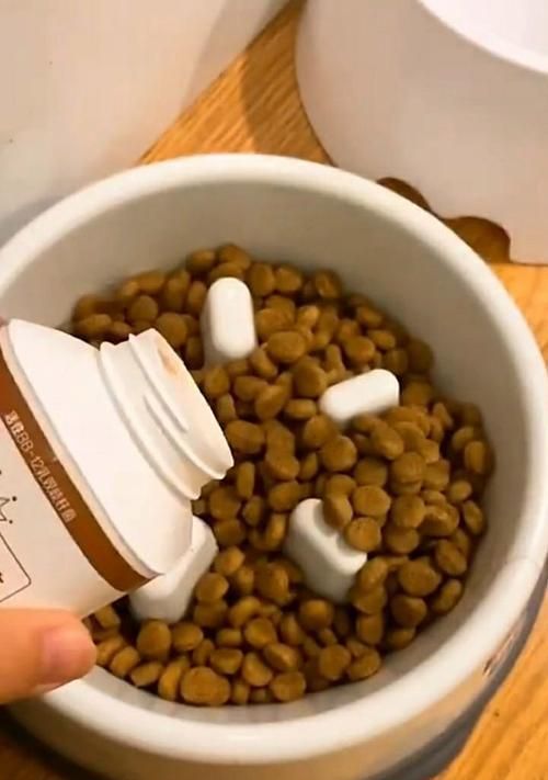 狗粮与酸奶的搭配——营养更全面的宠物饮食（以狗粮为主）