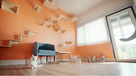 点击查看原始图片