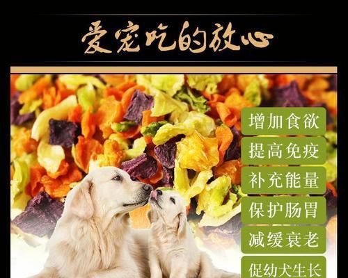 泰迪与蔬菜（营养均衡，宠物健康）