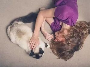 猫抓伤处理技巧，宠物主人必知！