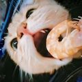 https://p0.meituan.net/userheadpicbackend/de1daa1029f5630f9d8af955fad06f1e202338.jpg%40120w_120h_1e_1c_1l%7Cwatermark%3D0
