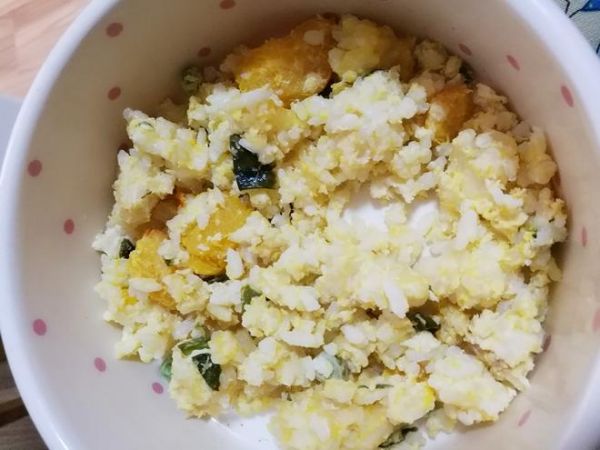 狗饭 鸡肉南瓜饭的做法