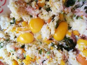 狗饭 鸡肉南瓜饭的做法 步骤8