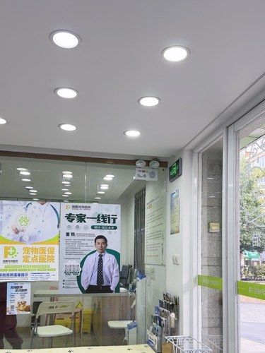 宠物医院也有新装修了