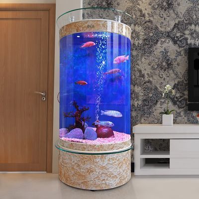 杰西卡鱼缸水质检测技巧，鱼缸水质检测工具推荐，鱼缸过滤系统选择指南 观赏鱼市场（混养鱼） 第3张