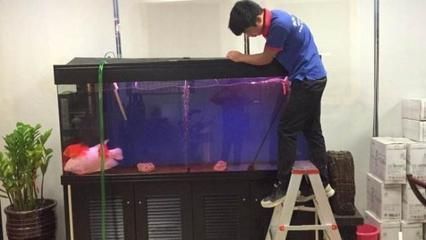 杰西卡鱼缸水质检测技巧，鱼缸水质检测工具推荐，鱼缸过滤系统选择指南 观赏鱼市场（混养鱼） 第2张