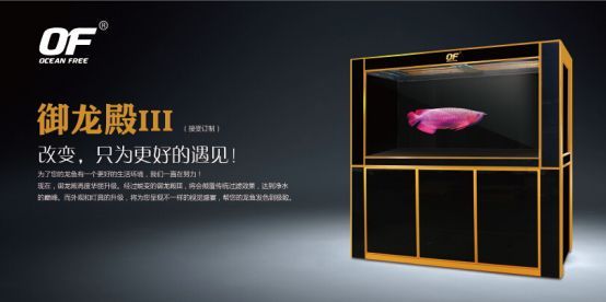 龙鱼专用灯的光谱选择指南（龙鱼专用灯光谱选择） 龙鱼百科 第5张