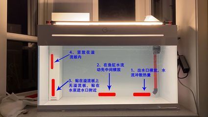 鱼缸加热棒选购指南：鱼缸加热棒功率计算方法 鱼缸百科 第1张