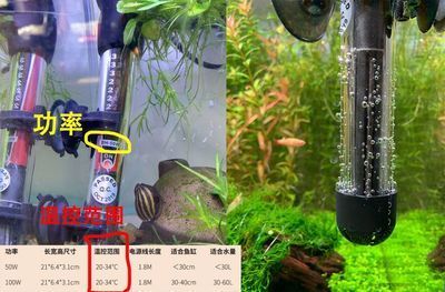 鱼缸加热棒选购指南：鱼缸加热棒功率计算方法 鱼缸百科 第5张