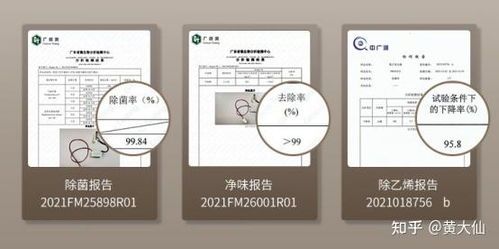 “宠物箱选购指南:价格尺寸看这里!”