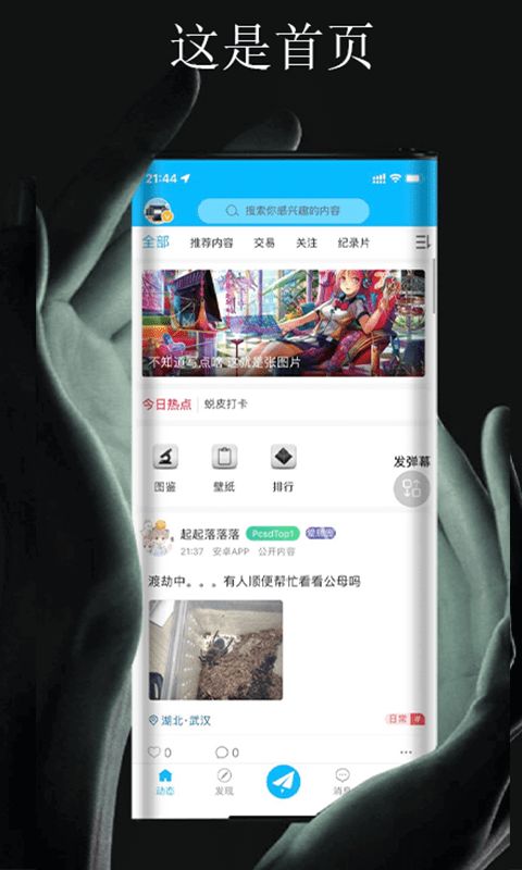 爬宠时代 1