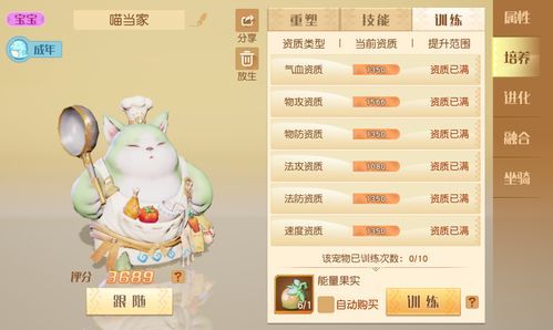 宠物运费计算攻略,轻松带萌宠回家!