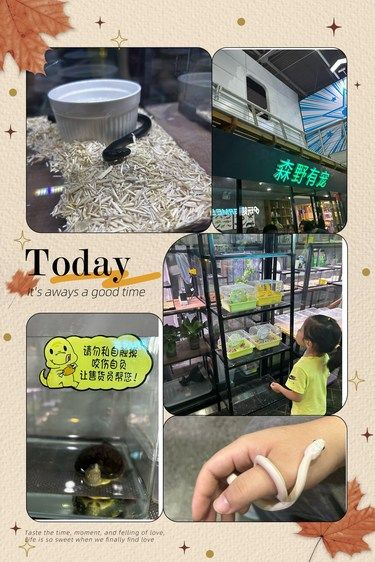 和异宠亲密接触的好去处，孩子太喜欢了！