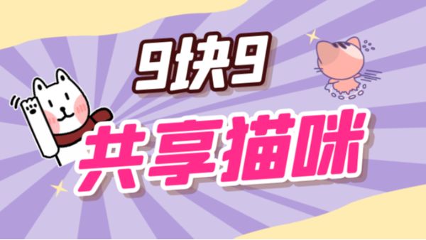 只要9块9，“共享猫咪”带回家？