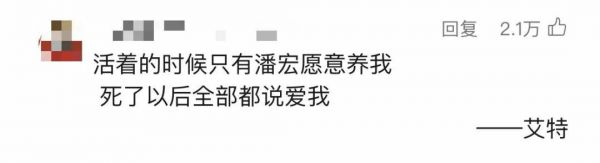 千万级网红“潘宏爱玩狗”清空主页，下架所有视频！