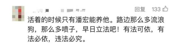 千万级网红“潘宏爱玩狗”清空主页，下架所有视频！