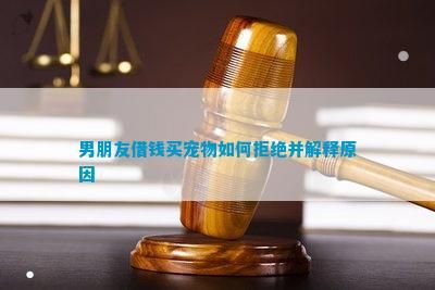男朋友借钱买宠物怎样拒绝并解释起因