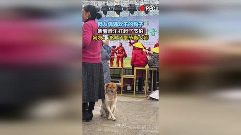 网友偶遇欢乐的狗子，听着音乐打起了节拍，网友：这狗子是节奏大师